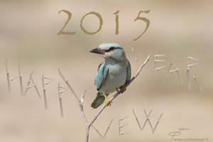 2015 Greeting card